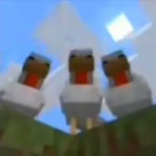 витчи спит