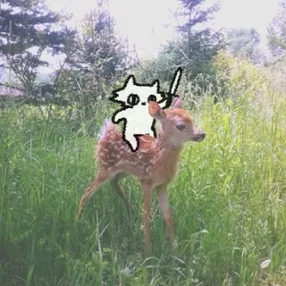 𝔖𝔞𝔰𝔠𝔥𝔞 · Мемы