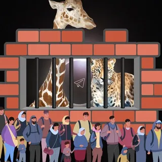 United States Mexico border is an ecocide - La frontera entre Estados Unidos y México es un ecocidio - Defending animal rights