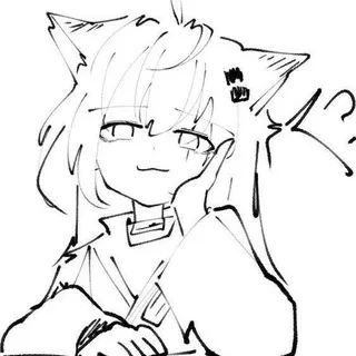 Ferret