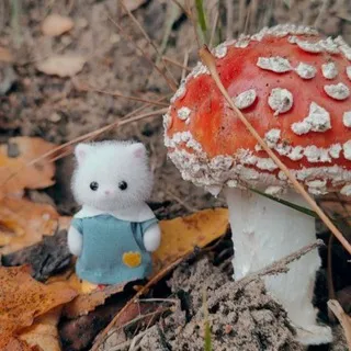 Фанклуб Жули 🍄
