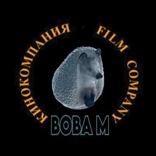 Кинокомпания «Вова М»