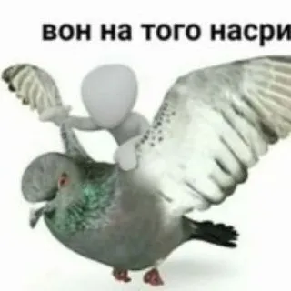 🏖️Гнёздышко голубка🐚(⁠｡⁠•̀⁠ᴗ⁠-⁠)⁠✧