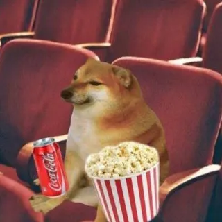 🎞️𝙲𝚑𝚎𝚎𝚖𝚜'𝚜 𝙲𝚒𝚗𝚎𝚖𝚊🎞️