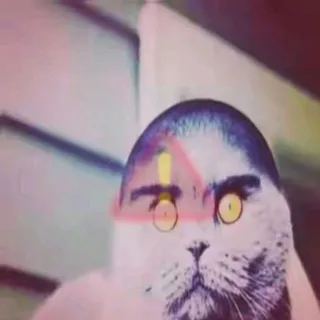 Тольчик