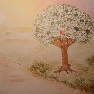 SAMAR - Entwicklungsräume