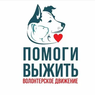 Волонтеры. Якт