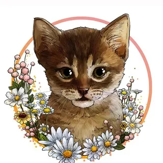 Dari_dobro_cat