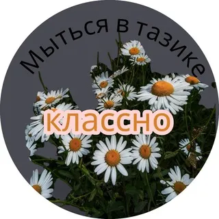 Твоя бывшая ♡