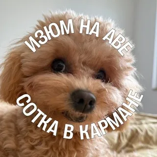 Марк Ламарк | Биология ЕГЭ | 100балльный Репетитор