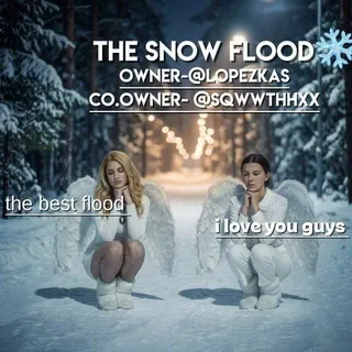 ☁️ «The snow flood» ☁️