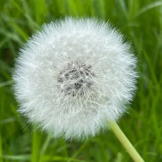 Freude an der Natur