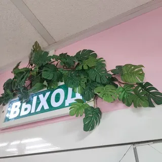 Ruu || артики ✌🏻🐟