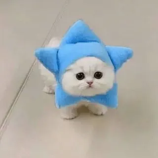 Gramcat