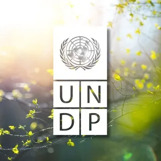 UNDP Uzbekistan ✔