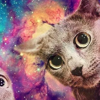 МАКАРОЖКЕ В ТОНЕЛЛЯХ👽