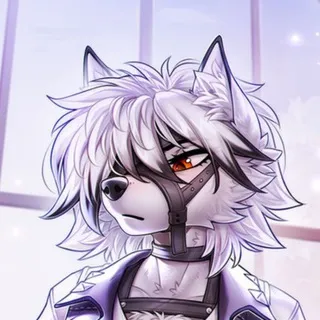 FURTUNA621 -переходник