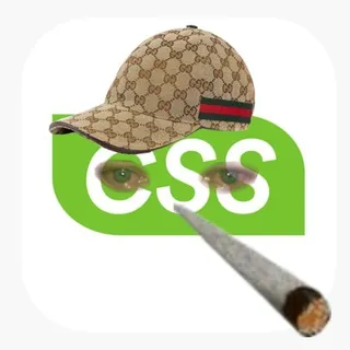 Cssbuy chat