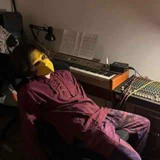 оперение жёлтого