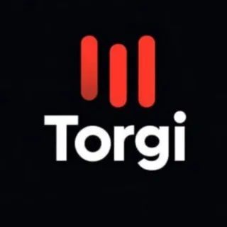Torgi. Инвестиции в цифровые активы. @Torgi