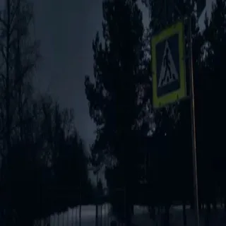 ♟|°Мэри Робинсон°|♟