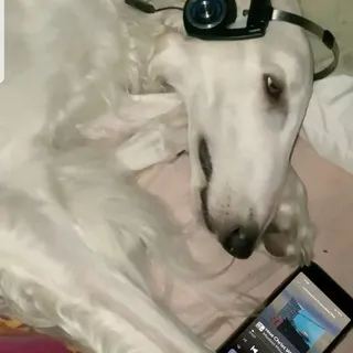 Гравиййййй