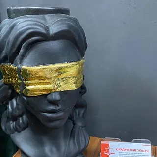 Адвокат Анастасия Волк