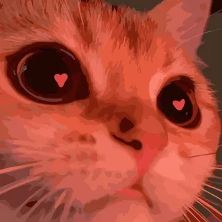 Meow Keeper