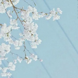 • Отзывы 🌸
