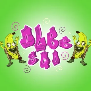 ❇️DLBB SQD❇️
