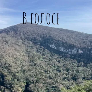 В голосе