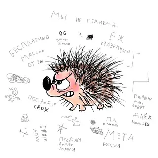 Ёжик на асфальте