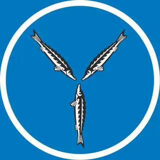 Говорит Саратов