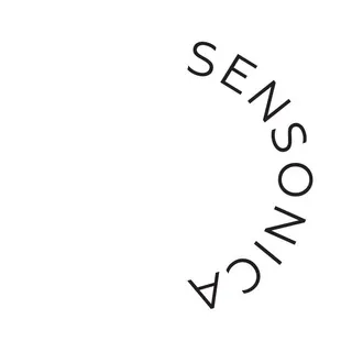 Sensonica :: Мистицизм и рациональное в звуке