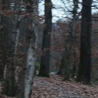 Жители Таежного!