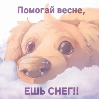 полу-рест. – 𝙆𝘼𝘽𝘼𝘾𝙗 | ᵏʳᵒᵗᶦᶰᵃ | ⊹ ₊