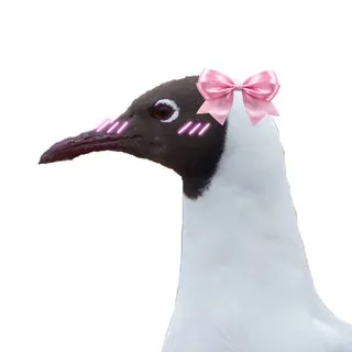 Просто Чайка