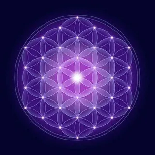 The Awakened Species ☀️