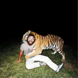 FEVVVAAᵃʳᵗⁱˢᵗ