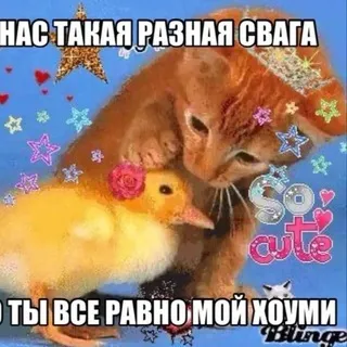 BYONIFIT️•&•KRASNYA KARPA