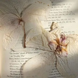 🕊️ ɴᴇᴏ_ᴘʀɴꜱ ʟɪʙʀᴀʀʏ 📖