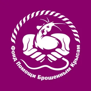 Фонд Помощи Брошенным Крысам СПб фпбк🐁