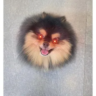 디젠의 트레이딩 일지