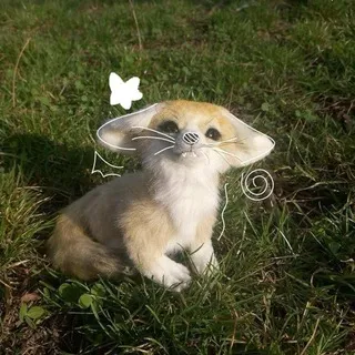 viki (｡uωu)♪