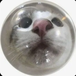 кремушек🤍