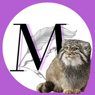 Поэтическая команда "Манулы"