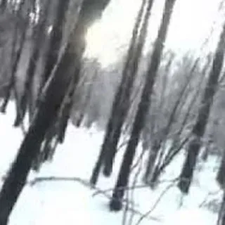 _v1o1v_