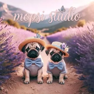 [полурест] 𝐦𝐨𝐩𝐬𝐢 𝐬𝐭𝐮𝐝𝐢𝐨