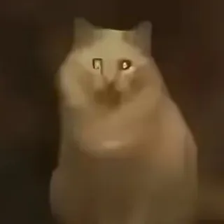 ⟨The sleeper⟩ 𝙸𝚘𝚗𝚒𝚊𝚗𝚗 𝙶𝚛𝚊𝚢