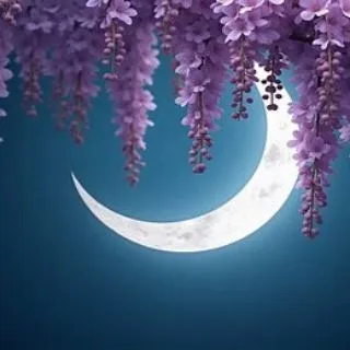 𐌲᧘ᥙцᥙнᥙя нᥲ ɸ᧐нᥱ ᧘уны🪻